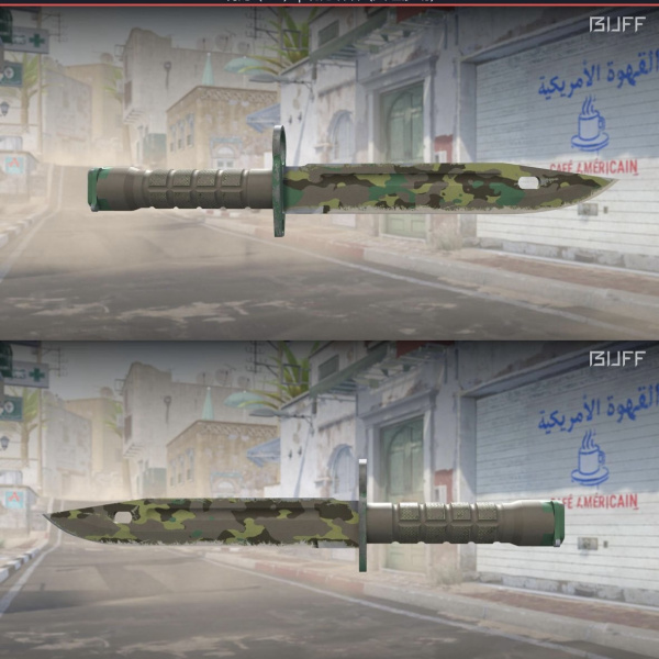 Bayonet boreal forest 12/11